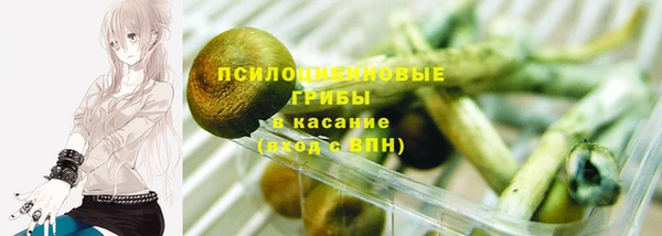 прущий лед Алексин