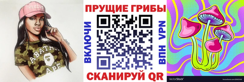 дарк нет наркотические препараты  Ессентукская  Галлюциногенные грибы мицелий 